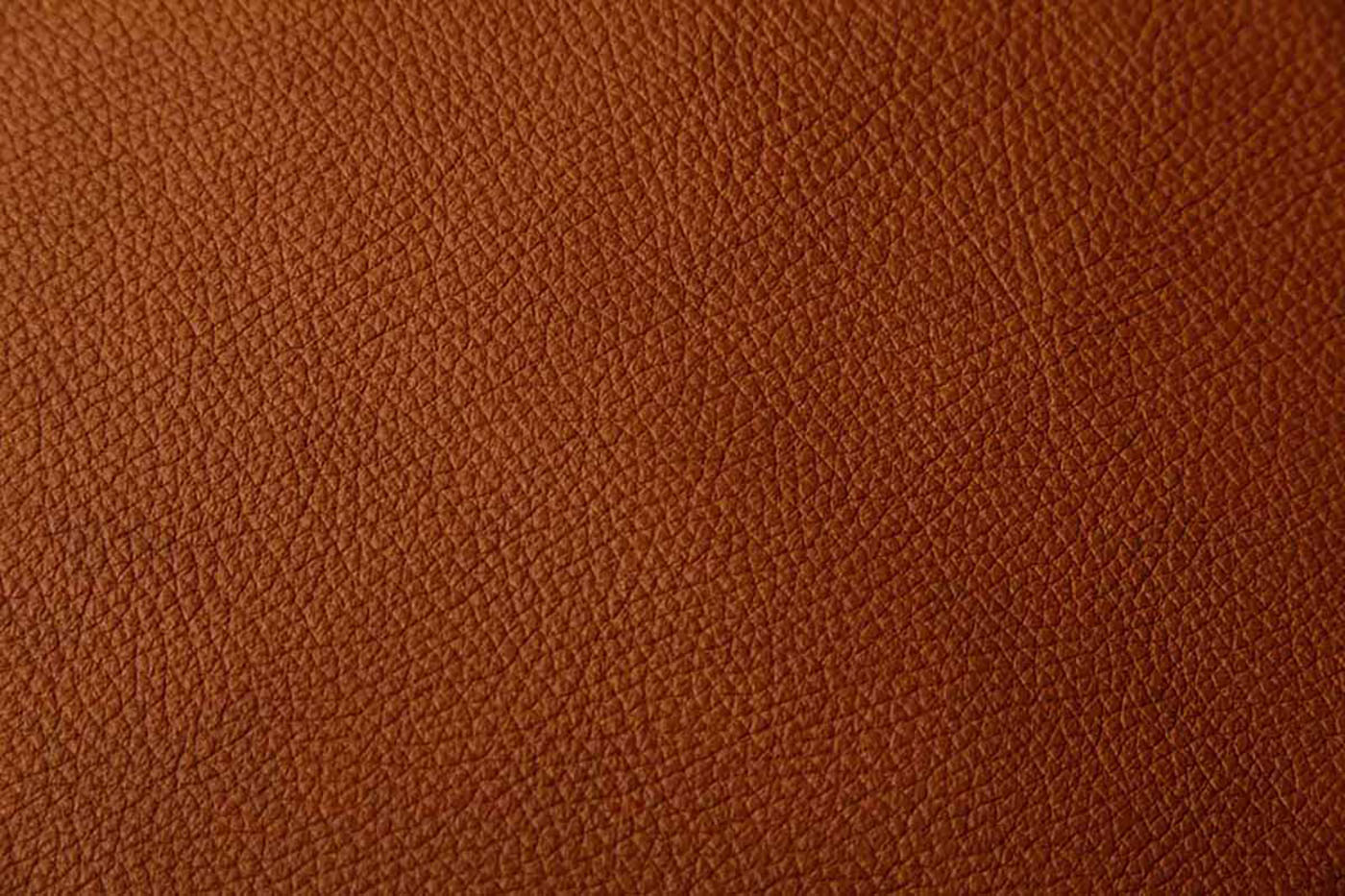Wolkenweich Natur Leder Ecopell Wolkenweich Natur Leder Ecopell