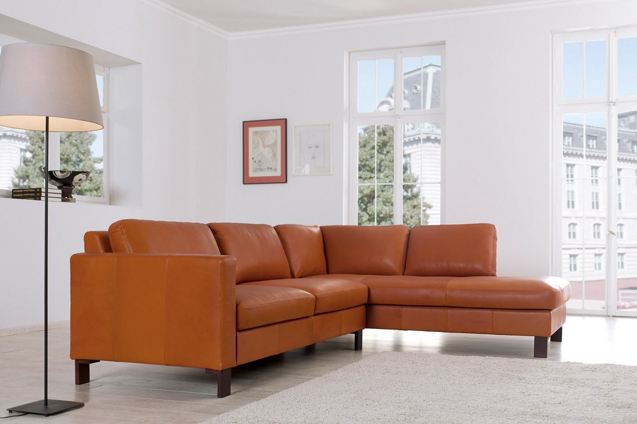Interner Link zu Wolkenweich Natur Leder Sofas