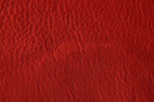 Wolkenweich Ledersofas - Ecopell Leder rot